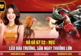 Đá Gà 67 C2 - Rực Lửa Đấu Trường, Săn Ngay Thưởng Lớn