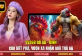 Sv368 Đá Gà - Đỉnh Cao Bứt Phá, Vươn Xa Nhận Quà Thả Ga