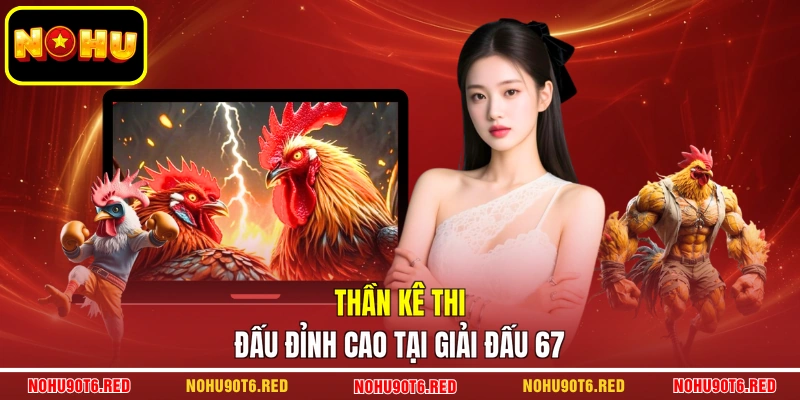 Thần kê thi đấu đỉnh cao tại giải đấu 67