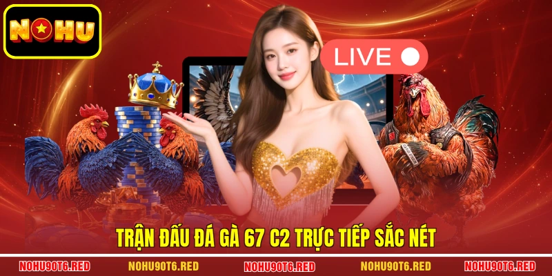 Trận đấu đá gà 67 c2 trực tiếp sắc nét